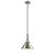 1 Light Briarcliff 10 inch Mini Pendant