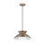 Noreen 14" 1-Light Pendant