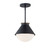 Ravelle Medium Outdoor Pendant