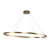Ovale 53-in Brushed Gold LED Linear Pendant
