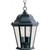 Westlake 9 Inch Outdoor Hanging Lantern – Black