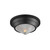 Hargreaves 10 Inch Flush Mount Light – Black