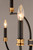 Charlton 3 Inch Chandelier – Black / Antique Brass