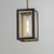 Neoclass-Outdoor Pendant - Black / Gold