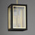 Outdoor 12 Inch Pendant – Black / Gold