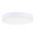 Trim 5 Inch Flush Mount Light – White