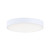 Trim - 0-10 V 7 Inch Flush Mount Light – White