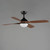 Bola 52 Inch Ceiling Fan – Walnut / Black