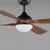 Bola 52 Inch Ceiling Fan – Walnut / Black