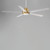 Daisy 60 Inch Ceiling Fan – Natural Aged Brass
