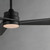 Vortex 52 Inch Ceiling Fan – Black
