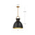 Waldo 14-in Matte Black/Aged Gold 1 Light Pendant