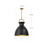 Waldo 18-in Aged Gold/Matte Black 1 Light Pendant