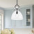 Waldo 14-in Matte Black/Clear Glass 1 Light Pendant
