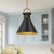 Emerson 14-in Aged Gold/Matte Black 1 Light Pendant