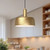 Adriano 10-in Brushed Gold 1 Light Pendant