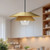 Tetsu 20-in Brushed Gold/Clear Glass 1 Light Pendant