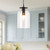 Sylvia 8-in Matte Black/Clear Glass 1 Light Pendant