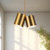 Keiko 14-in Brushed Gold 2 Lights Pendant