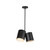 Keiko 14-in Black 2 Lights Pendant