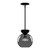 Arcadia 8-in Black/Smoked 1 Light Pendant