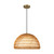 Bondi 16-in Brushed Gold/Opal 1 Light Pendant