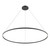 Cerchio 72-in Black LED Pendant