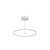 Cerchio 24-in White LED Pendant