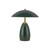 Poppy 9-in Pine Green LED Table Lamp