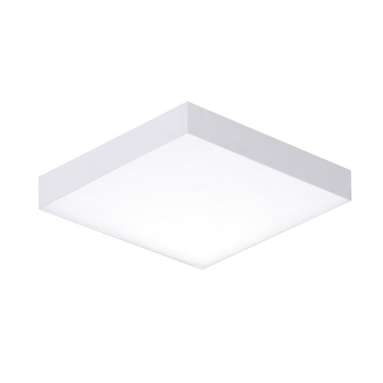 Trim 4.75 Inch Flush Mount Light – White
