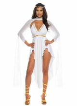 Roma R-6601, Gilded Goddess Costume Full View