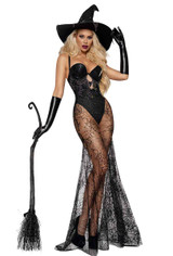 S2654, Diamond Spider Witch Costume Front View
