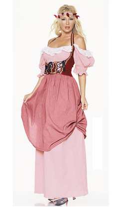 Renaissance maiden costume (8943)