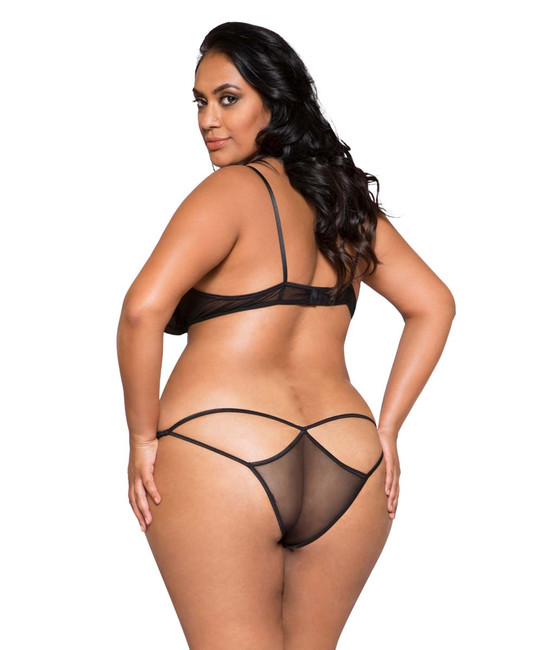 Plus Size Lingerie | LI267X, Lace and Mesh Bra Set back view