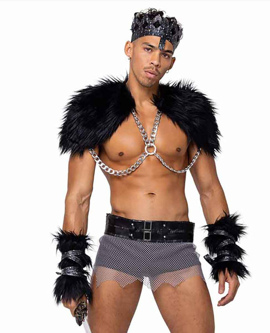 R-6169, Men's Viking Hunk Costume By Roma