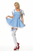 Dorothy costume