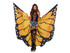 A2782, Monarch Butterfly Wing