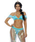 FP-559612, A Whole New World Princess Costume by Forplay