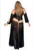 Starline S2340X, Plus Size Dark Harem Nights Costume Back View