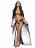 Roma R-6613, Belly Dancer Costume Full View