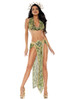 S2642, Slithering Beauty Costume Front Full View