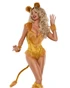 PK2632, Fierce Lion Costume By Party King