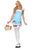 Darling Dorothy Costume