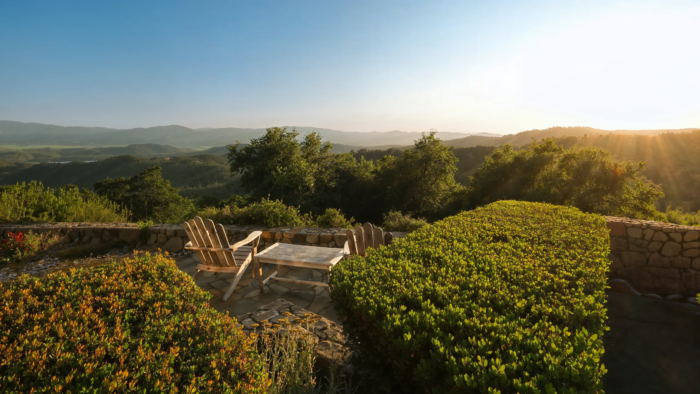 Overlook at Blackbird's Birds Nest Vineyard, Napa Valley in the distance