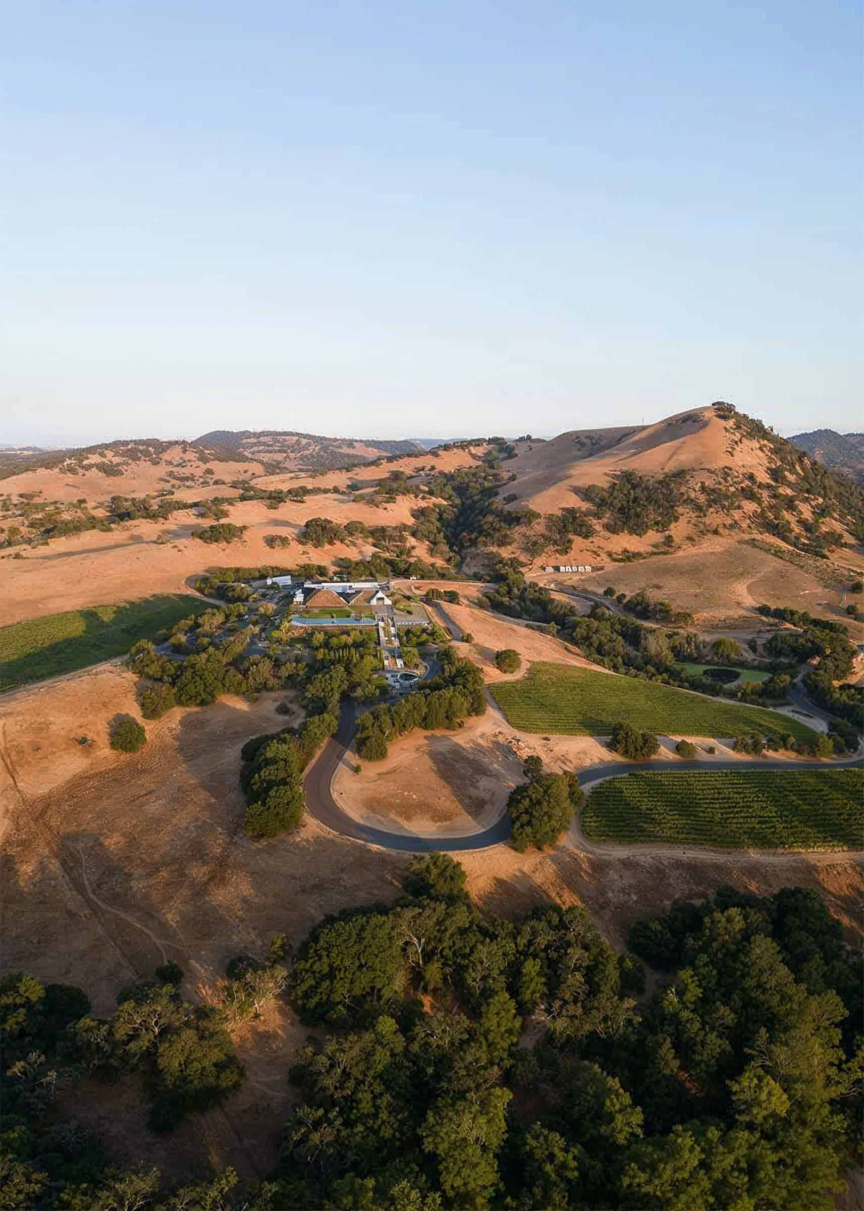 Aerial of Artesa Winery and Carneros vineyards
