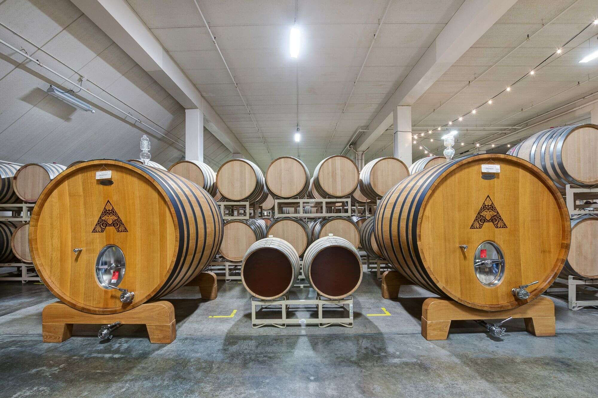 Artesa barrel cellar with branded oak foudres