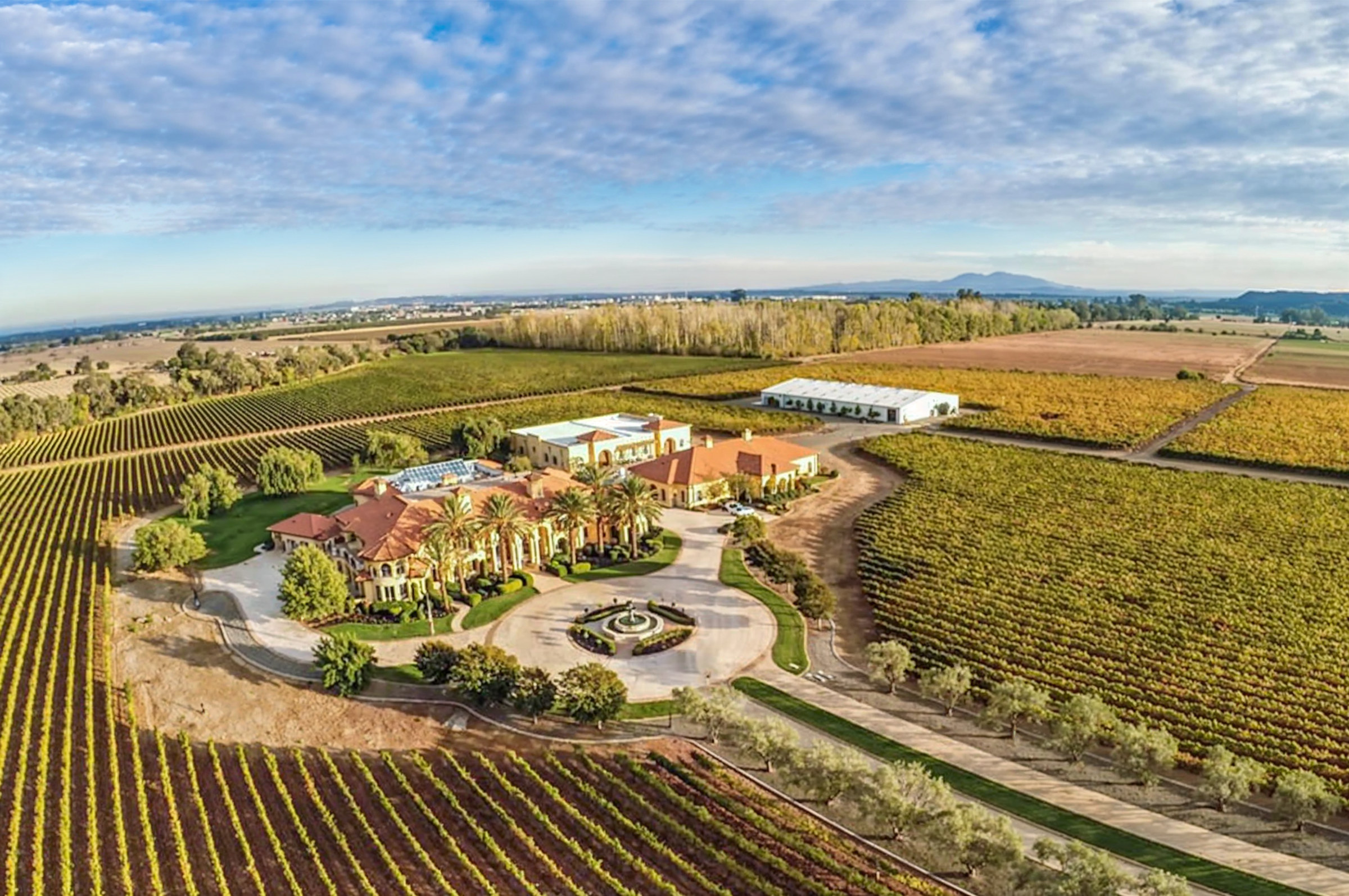 Aerial of Bally Keal Estate vineyard rows in Suisun Valley