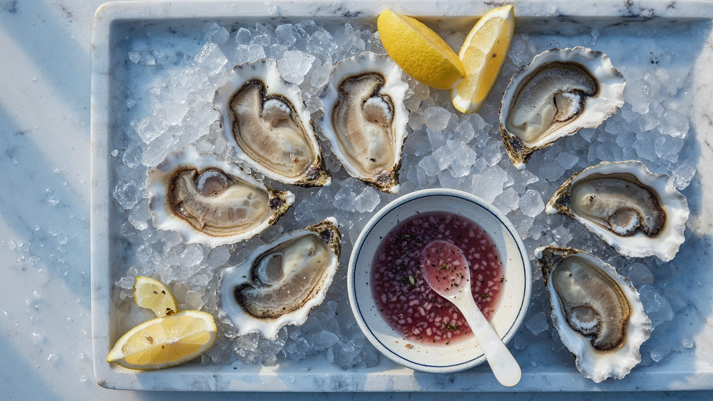 Oysters on ice with lemon, pairing illustration