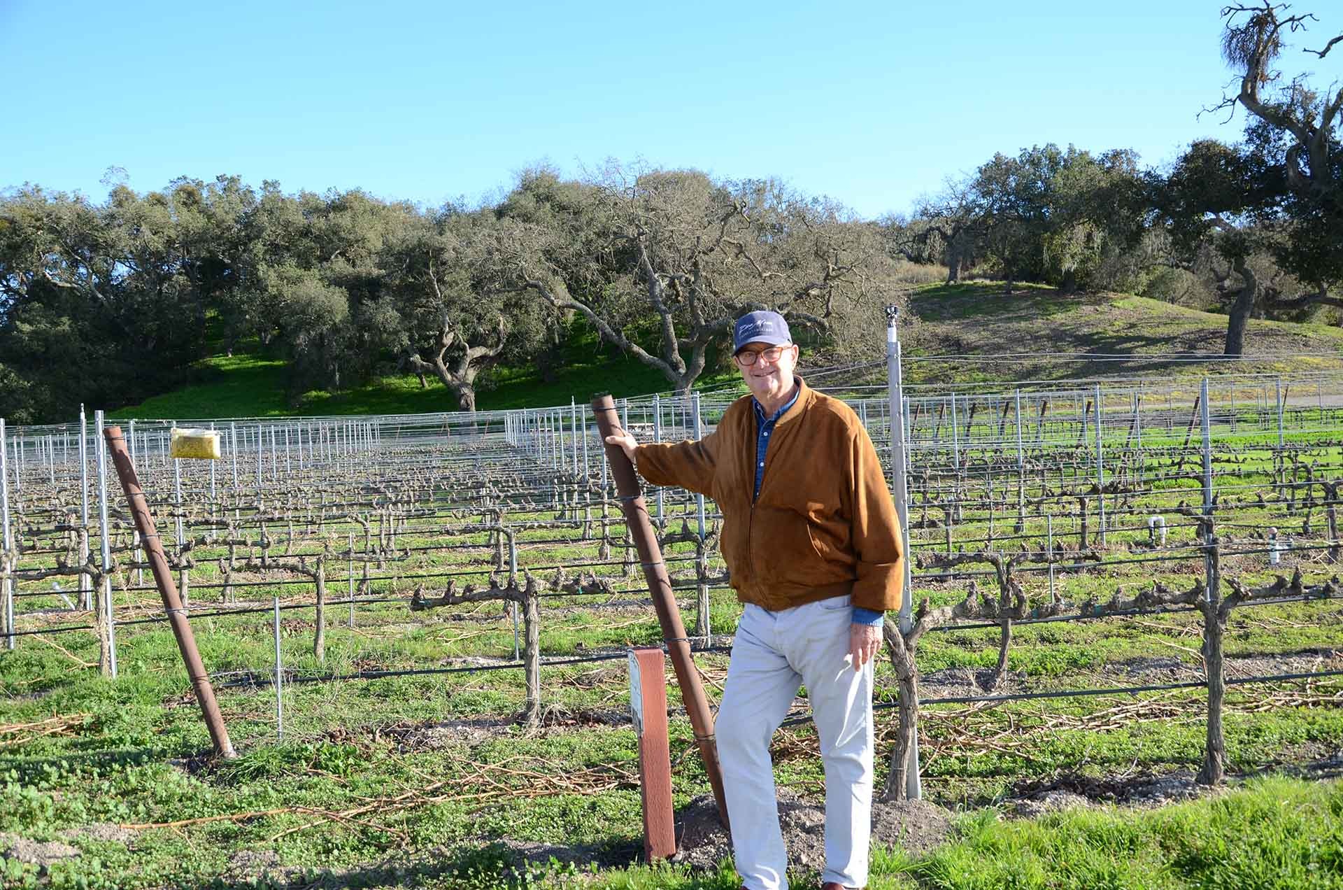 Zaca Mesa vineyard rows