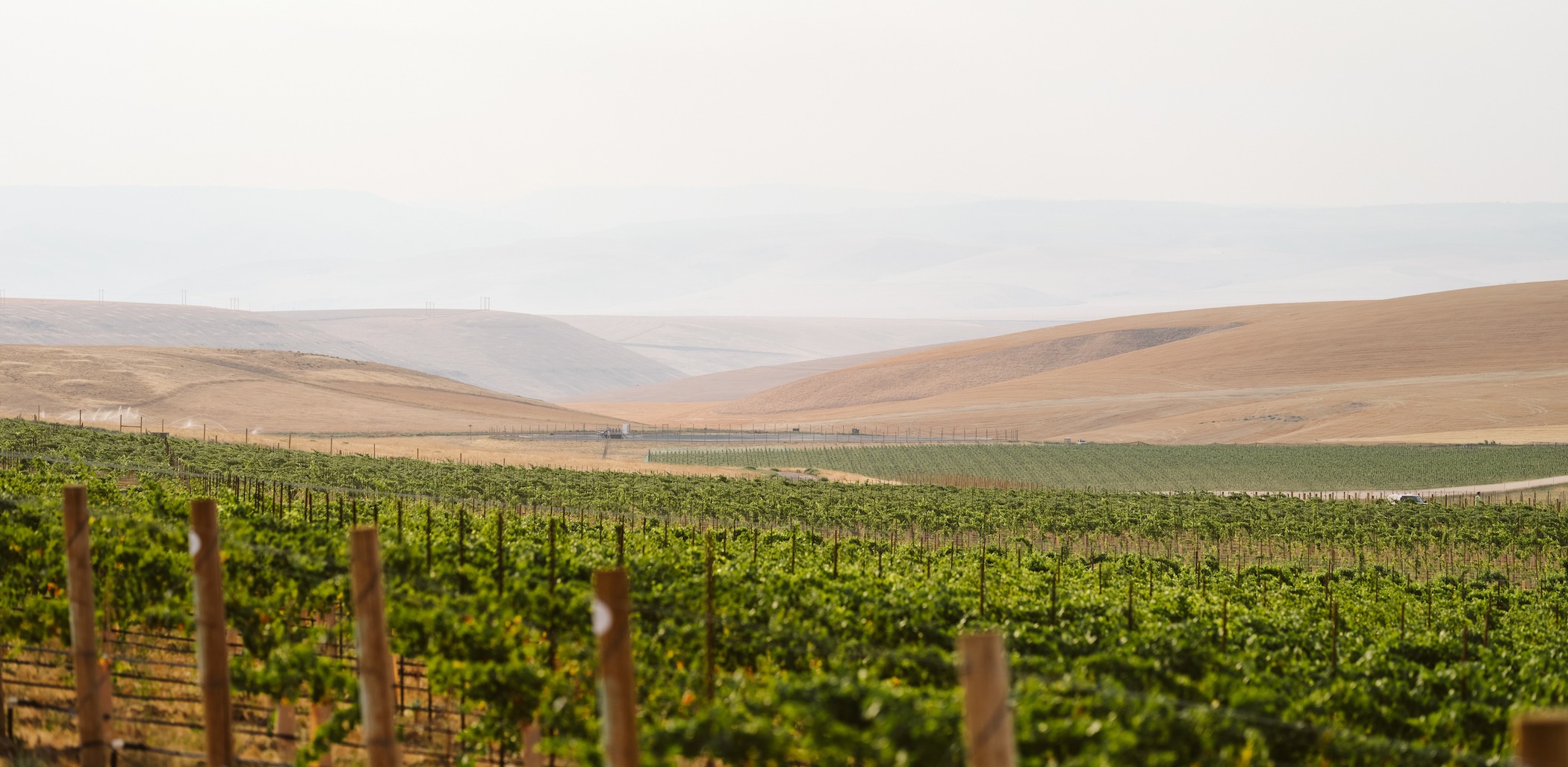 Grosgrain estate, Walla Walla Valley